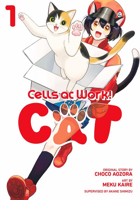 Series Image